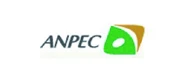 ANPEC(茂达电子) logo