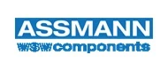ASSMANN logo