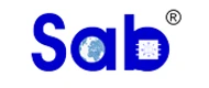 BIWIN(百莹) logo