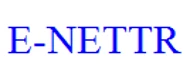 E-NETTR(祥星电子) logo