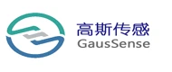 GausSense(高斯) logo