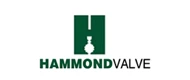 HAMMOND VALVE(哈蒙德) logo