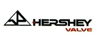 环琪 logo