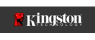 Kingston(金士顿) logo