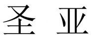 SHENGYA(圣亚) logo
