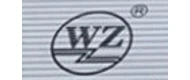 WZ(伟正) logo
